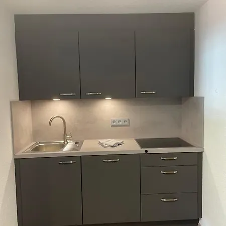 게스트하우스 Haus Lusspark